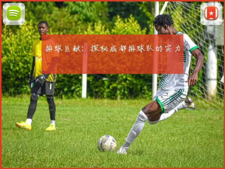 排球巨献：探秘成都排球队的实力