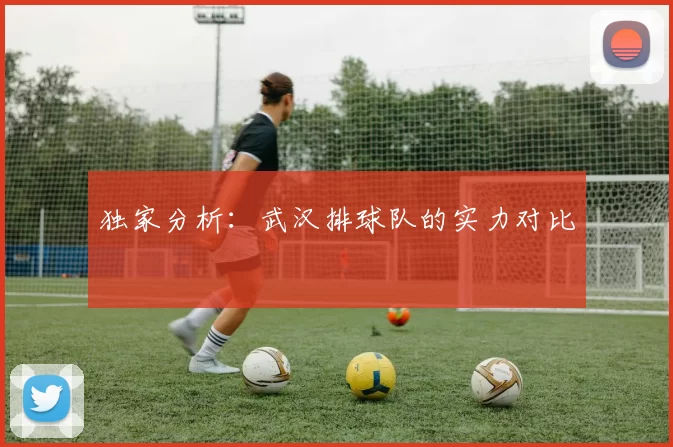 独家分析：武汉排球队的实力对比