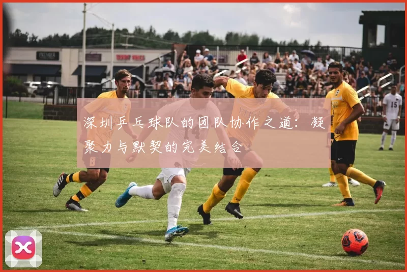 深圳乒乓球队的团队协作之道：凝聚力与默契的完美结合